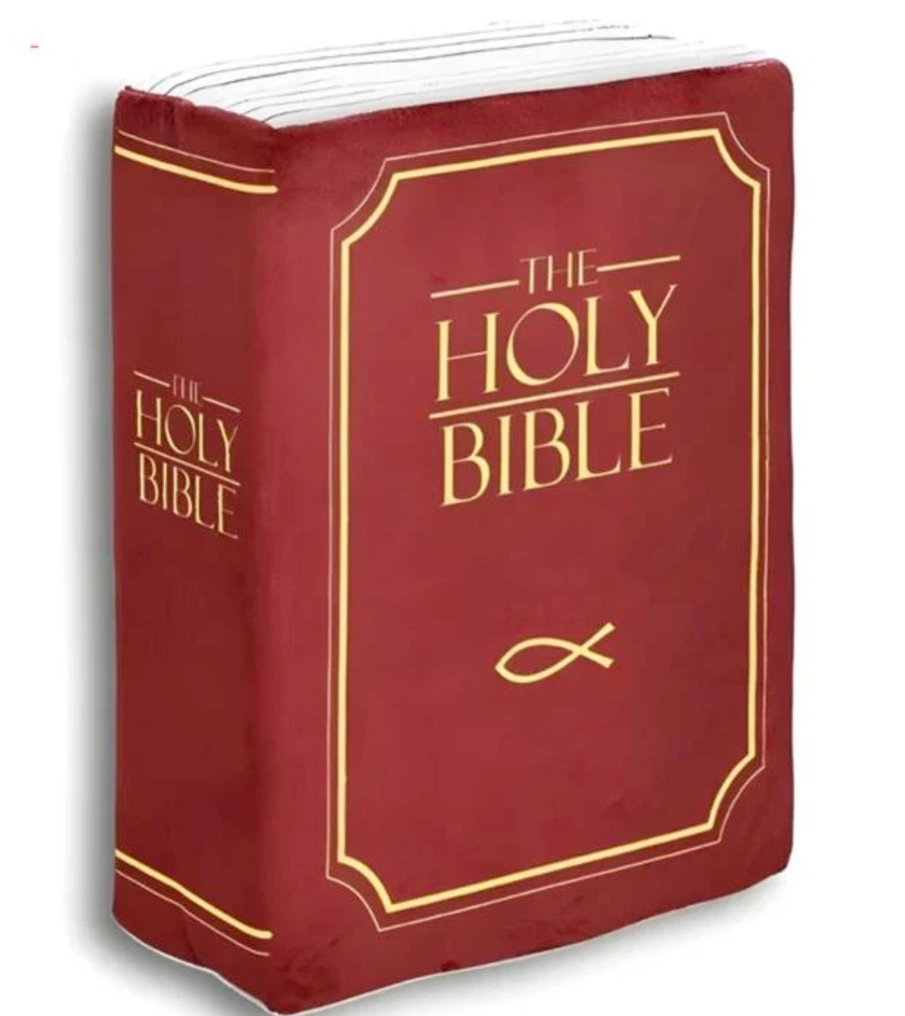 TheBiblePillow
